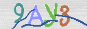 CAPTCHA (Şahıs Denetim Kodu) Resmi