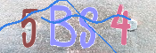 CAPTCHA (Şahıs Denetim Kodu) Resmi