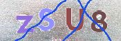 CAPTCHA (Şahıs Denetim Kodu) Resmi