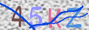 CAPTCHA (Şahıs Denetim Kodu) Resmi