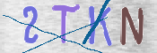 CAPTCHA (Şahıs Denetim Kodu) Resmi