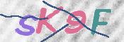 CAPTCHA (Şahıs Denetim Kodu) Resmi