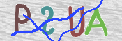 CAPTCHA (Şahıs Denetim Kodu) Resmi