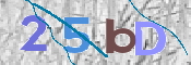 CAPTCHA (Şahıs Denetim Kodu) Resmi