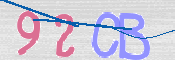 CAPTCHA (Şahıs Denetim Kodu) Resmi