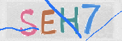 CAPTCHA (Şahıs Denetim Kodu) Resmi