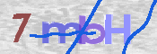 CAPTCHA (Şahıs Denetim Kodu) Resmi