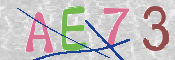 CAPTCHA (Şahıs Denetim Kodu) Resmi