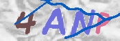 CAPTCHA (Şahıs Denetim Kodu) Resmi