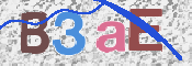 CAPTCHA (Şahıs Denetim Kodu) Resmi