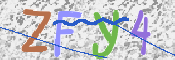 CAPTCHA (Şahıs Denetim Kodu) Resmi