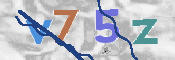CAPTCHA (Şahıs Denetim Kodu) Resmi