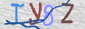 CAPTCHA (Şahıs Denetim Kodu) Resmi