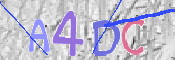 CAPTCHA (Şahıs Denetim Kodu) Resmi