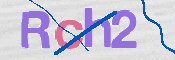 CAPTCHA (Şahıs Denetim Kodu) Resmi