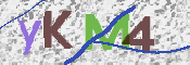 CAPTCHA (Şahıs Denetim Kodu) Resmi