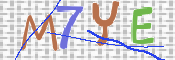 CAPTCHA (Şahıs Denetim Kodu) Resmi