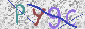 CAPTCHA (Şahıs Denetim Kodu) Resmi