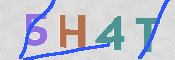 CAPTCHA (Şahıs Denetim Kodu) Resmi