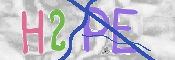 CAPTCHA (Şahıs Denetim Kodu) Resmi