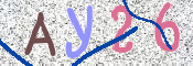 CAPTCHA (Şahıs Denetim Kodu) Resmi