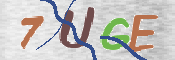 CAPTCHA (Şahıs Denetim Kodu) Resmi