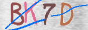 CAPTCHA (Şahıs Denetim Kodu) Resmi