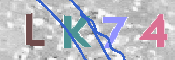 CAPTCHA (Şahıs Denetim Kodu) Resmi