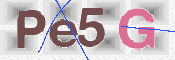 CAPTCHA (Şahıs Denetim Kodu) Resmi
