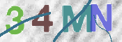 CAPTCHA (Şahıs Denetim Kodu) Resmi