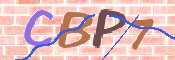 CAPTCHA (Şahıs Denetim Kodu) Resmi