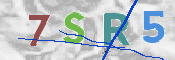 CAPTCHA (Şahıs Denetim Kodu) Resmi