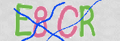 CAPTCHA (Şahıs Denetim Kodu) Resmi