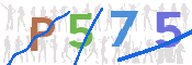 CAPTCHA (Şahıs Denetim Kodu) Resmi