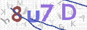 CAPTCHA (Şahıs Denetim Kodu) Resmi