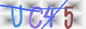 CAPTCHA (Şahıs Denetim Kodu) Resmi