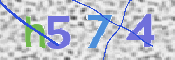 CAPTCHA (Şahıs Denetim Kodu) Resmi