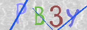 CAPTCHA (Şahıs Denetim Kodu) Resmi