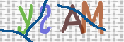 CAPTCHA (Şahıs Denetim Kodu) Resmi