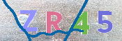 CAPTCHA (Şahıs Denetim Kodu) Resmi