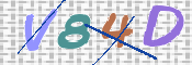 CAPTCHA (Şahıs Denetim Kodu) Resmi