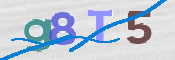 CAPTCHA (Şahıs Denetim Kodu) Resmi