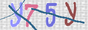 CAPTCHA (Şahıs Denetim Kodu) Resmi