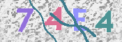 CAPTCHA (Şahıs Denetim Kodu) Resmi