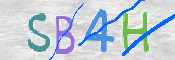 CAPTCHA (Şahıs Denetim Kodu) Resmi