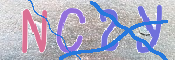 CAPTCHA (Şahıs Denetim Kodu) Resmi