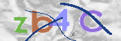 CAPTCHA (Şahıs Denetim Kodu) Resmi