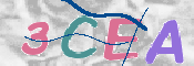 CAPTCHA (Şahıs Denetim Kodu) Resmi