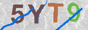 CAPTCHA (Şahıs Denetim Kodu) Resmi