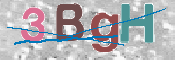 CAPTCHA (Şahıs Denetim Kodu) Resmi